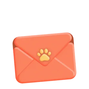 Felirium contact email