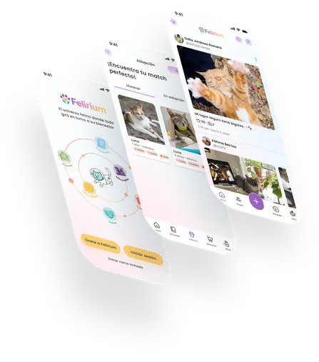 App screens showing the app